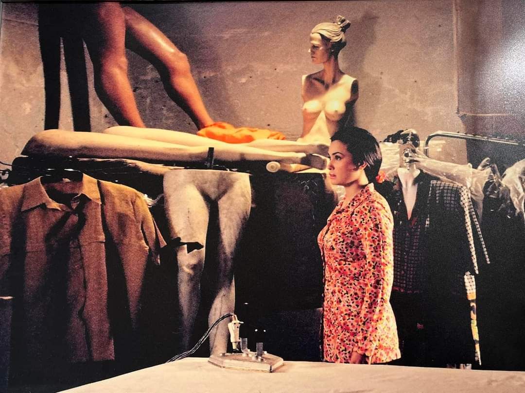 كل صور النجوم على ٦٠ سنة في المعرض
