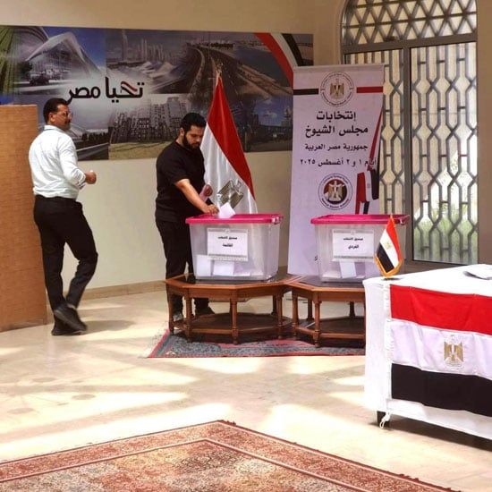 انتخابات مجلس الشيوخ للمصريين في الخارج (11) انتخابات مجلس الشيوخ للمصريين في الخارج (11)