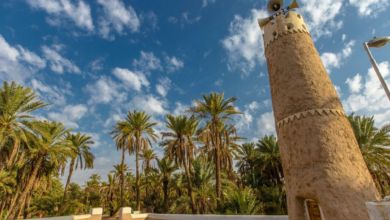 اتفرج – محلل اقتصادي: فتح الاستثمار للقطاع الخاص يطور السياحة البيئية