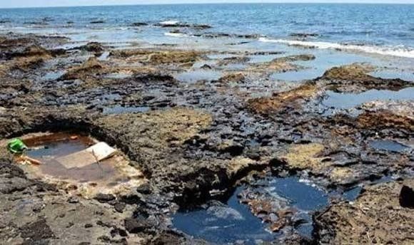دراسة علمية: البكتيريا البحرية قد تعزز تنظيف التسربات النفطية بكفاءة في المياه الباردة