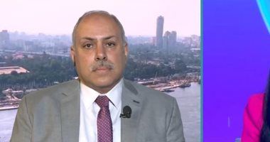أستاذ علوم سياسية: مصر تدعم أمن الخليج وتدعو للحلول الدبلوماسية