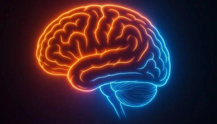 دراسة بريطانية.. الضغوط المادية طويلة الأمد قد تسرع شيخوخة الدماغ