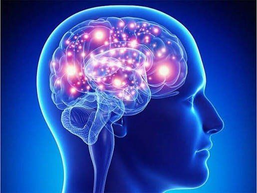 دراسة: هرمون التوتر قد يربك قدرة الدماغ على تحديد الاتجاهات والملاحة