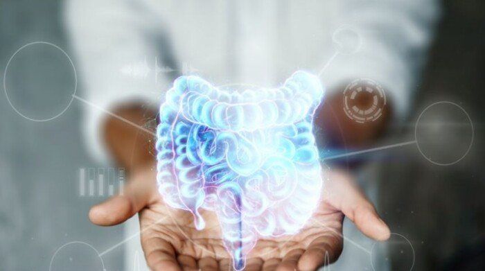 مركب تنتجه بكتيريا الأمعاء يسرّع تدهور الدماغ.. هدف علاجي جديد لألزهايمر