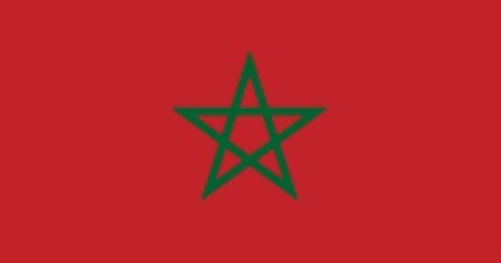 المغرب والإمارات يجددان التأكيد على مواصلة تطوير وتوطيد تعاونهما العسكرى