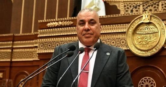 نائب: تفويض الرئيس السيسى لدعم أمن السعودية يعكس التزام مصر بوحدة المصير العربى