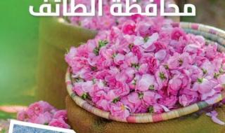 الطائف أصبحت عروس المصائف بحق وحقيقة.. هذا المشروع الجديد جعلها أجمل من جدة والرياض