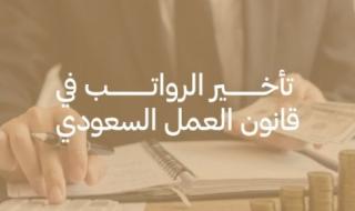 عاجل: السعودية تحدد عقوبات صارمة لتأخير الرواتب أكثر من 10 أيام..  تعرف على التفاصيل