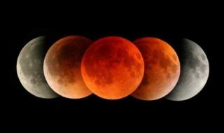 شاهد .. مصر: خسوف كلى للقمر يتزامن مع رمضان 2026.. اعرف موعد وتفاصيل القمر الدموى