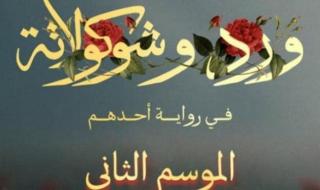 شاهد .. جزء ثان من مسلسل «ورد وشوكولاتة» بقصة جديدة وأبطال مختلفين.. ما القصة؟