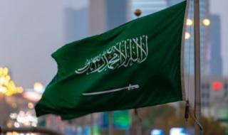 اعتبارًا من اليوم.. أبناء هذه الجنسية يستطيعون الحصول على تأشيرة سفر إلى السعودية بدون شروط