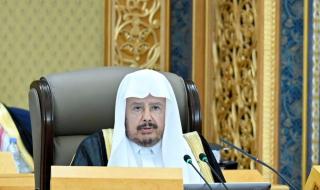 مجلس الشورى يطالب بمعالجة أسعار تذاكر الطيران بالسعودية