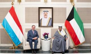 ممثل صاحب السمو سمو ولي العهد يستقبل في نيويورك دوق لوكسمبورغ الأكبر