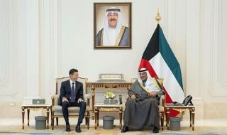 ولي العهد يستعرض مع الرئيس التنفيذي المشارك في شركة «كي كي آر» مجالات التعاون الاقتصادي