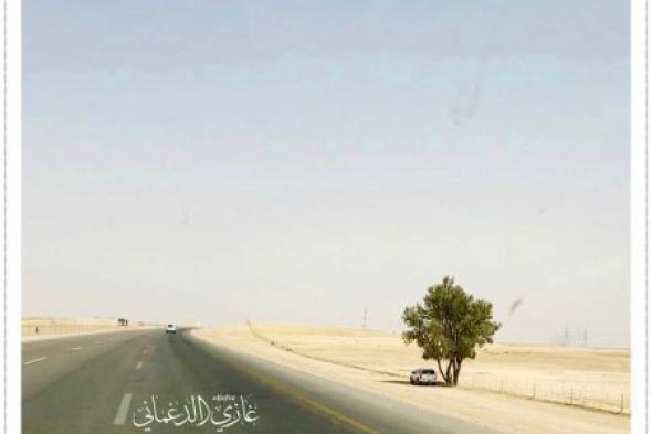 شاهد.. شجرة على طريق الرياض _ القصيم تصنع فرقًا كبيراً والمسند يكشف هوية الشخص الذي زرعها قبل 4 عقود